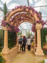 RHS Chelsea Flower Show 2017. The world`s most prestigious flower show displaying the best in garden design. Royalty Free Stock Photo